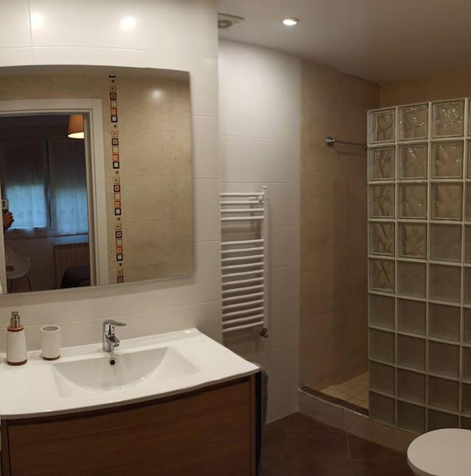 Acogedor Y Precioso Apartamento + Parking Privado Σαν Σεμπαστιάν Εξωτερικό φωτογραφία